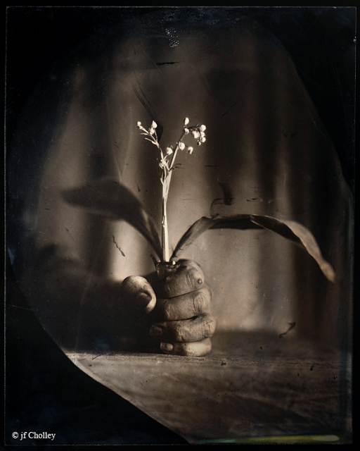 Collodion_Muget_72dpi.jpg