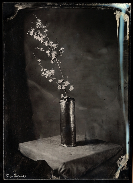 Collodion_printemps_72.jpg - Ambrotype Arca 13X18