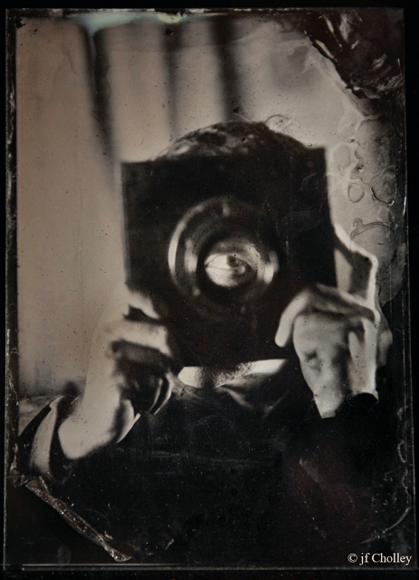 Collodion_psy.jpg - Ambrotype 13X18